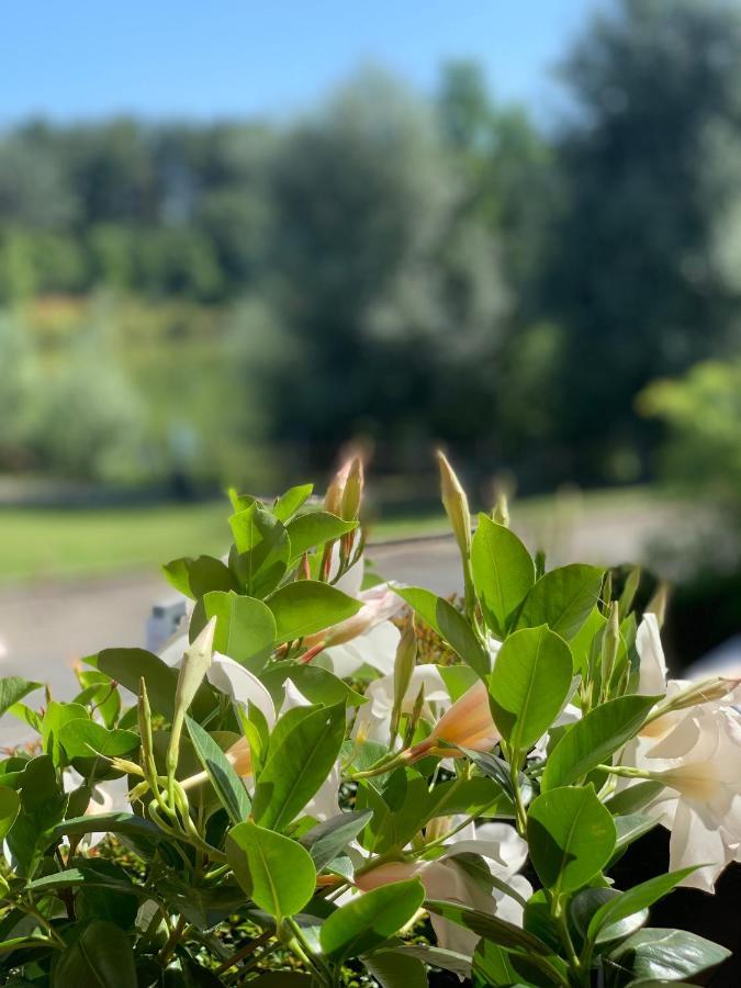 Cameracaffe Sul Lago Arezzo Buitenkant foto